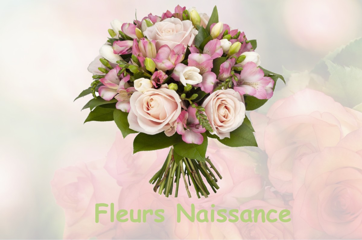 fleurs naissance HEUGAS