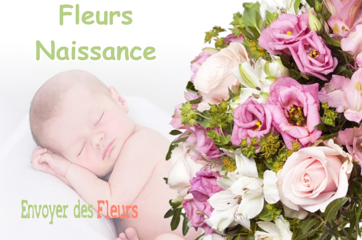 lIVRAISON FLEURS NAISSANCE à HEUGAS